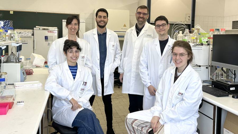 equipo de investigación
