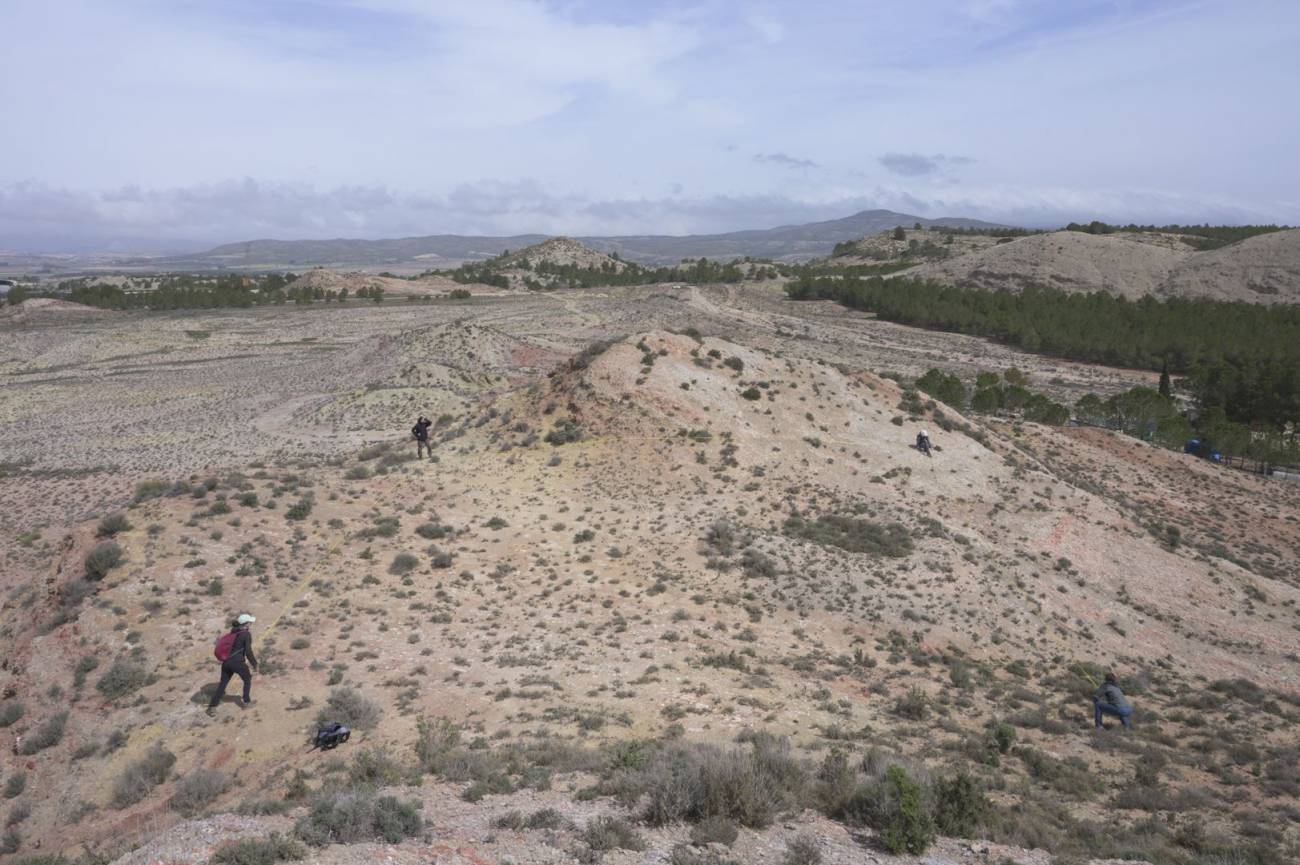El equipo de Alicia Montesinos realiza un muestreo de especies vegetales que habitan en suelos de yeso de la zona de Petrer. / Alejandro Muñoz