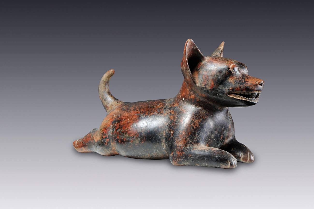 escultura de un perro del 300 a.C.-600 d.C /Museo Amparo