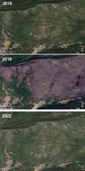 Evolución tras un incendio Puerto de la Grulla (Algeciras) /Google Earth