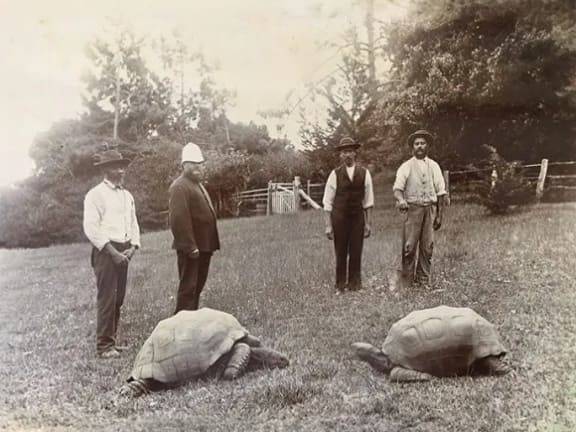 Jonathan (izquierda) a su llegada a Santa Elena en 1882. / Fotógrafo A. L. Innes