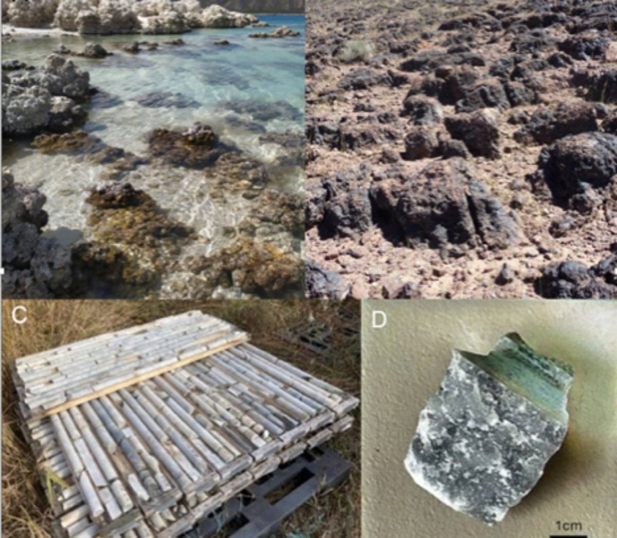 Rocas análogas utilizadas en el estudio: microbialito del lago Alchichica (México), estromatolito de Marruecos y carbonatos del Bridget Lake (Canadá). / CAB
