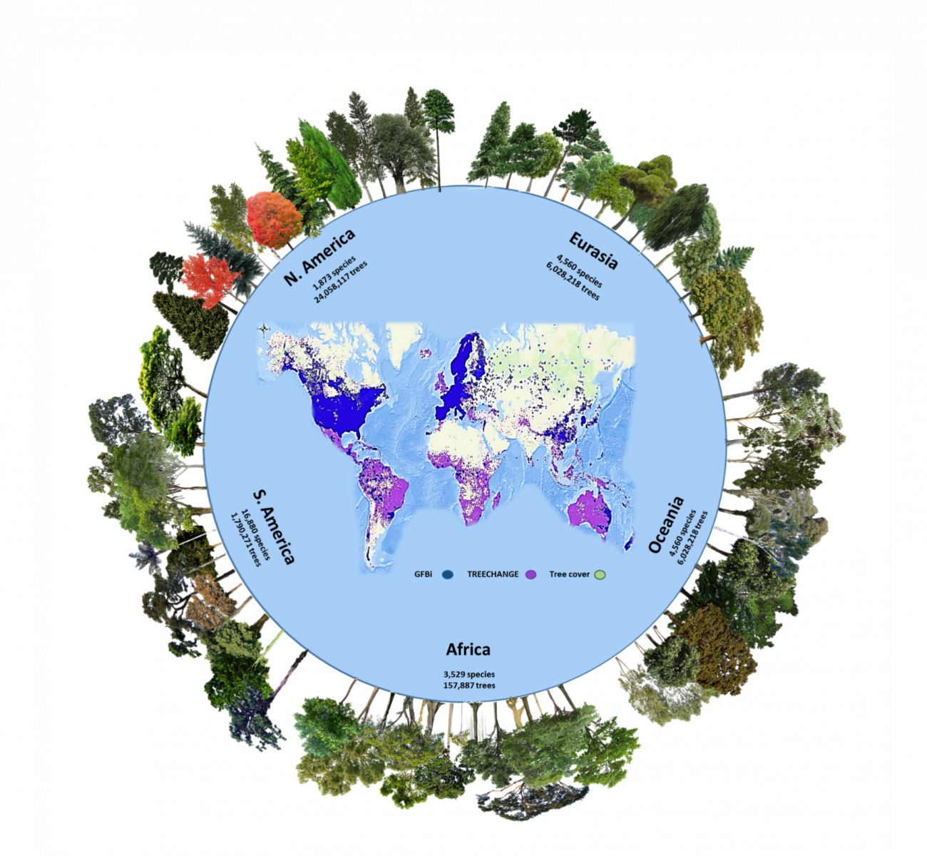 Las áreas verdes representan la cobertura arbórea global. / Cazzolla Gatti et al. / PNAS