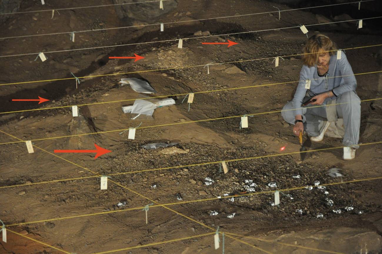 Uno de los autores muestra en la cueva de Wonderwerk que aun hoy está ocupada por lechuzas. Pueden distinguirse parches de sus egagrópilas (flechas rojas) tal y como debió ocurrir en el pasado, cuando Homo erectus entró en la cueva con ramas ardiendo de incendios naturales y las depositó en esta "alfombra" que facilitó que el fuego durara más. / MNCN