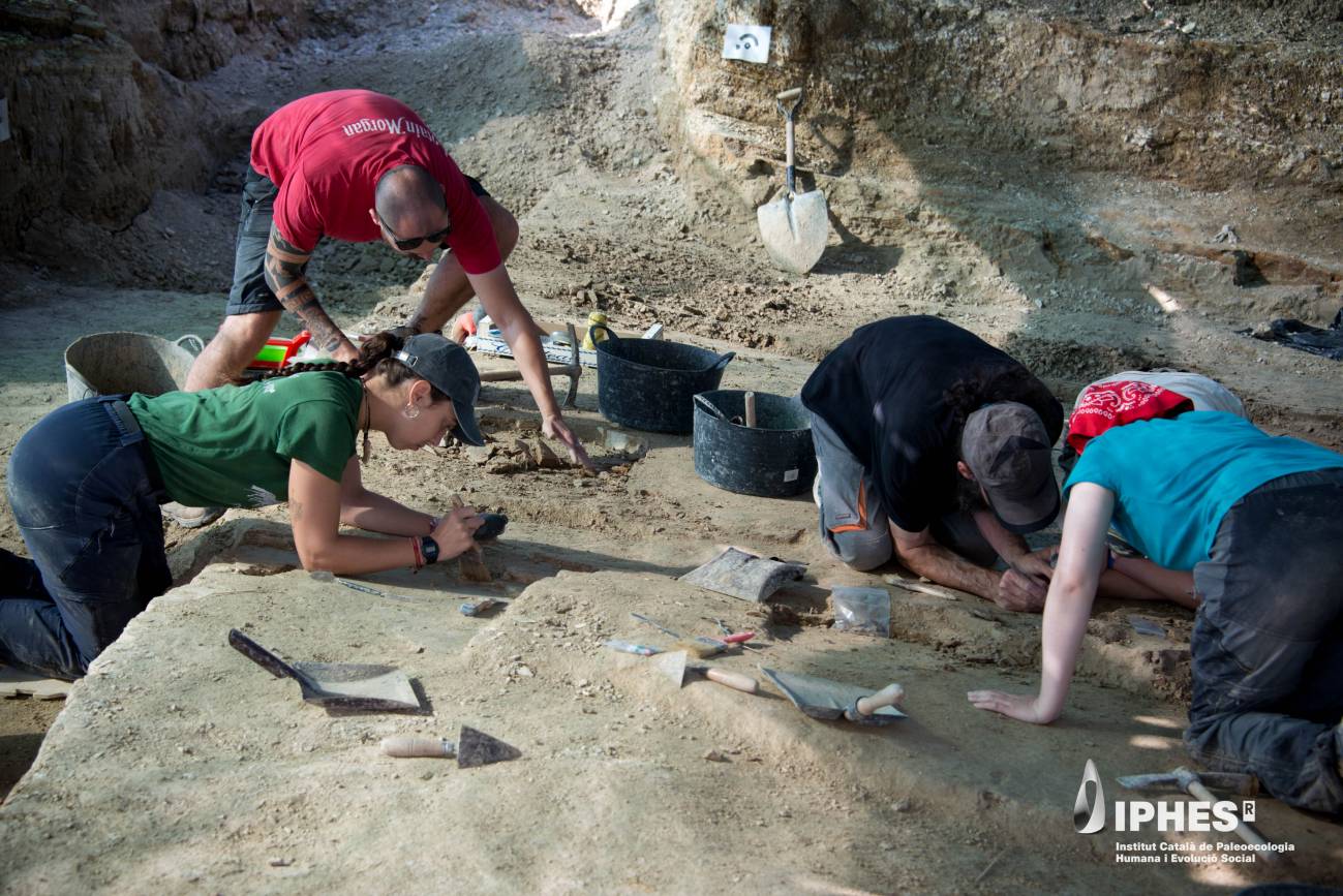 Trabajos de excavación en la superficie de trabajo donde se ha recuperado el esqueleto de Tapirus arvernensis durante este mes de mayo. / Gerard Campeny / IPHES-CERCA.