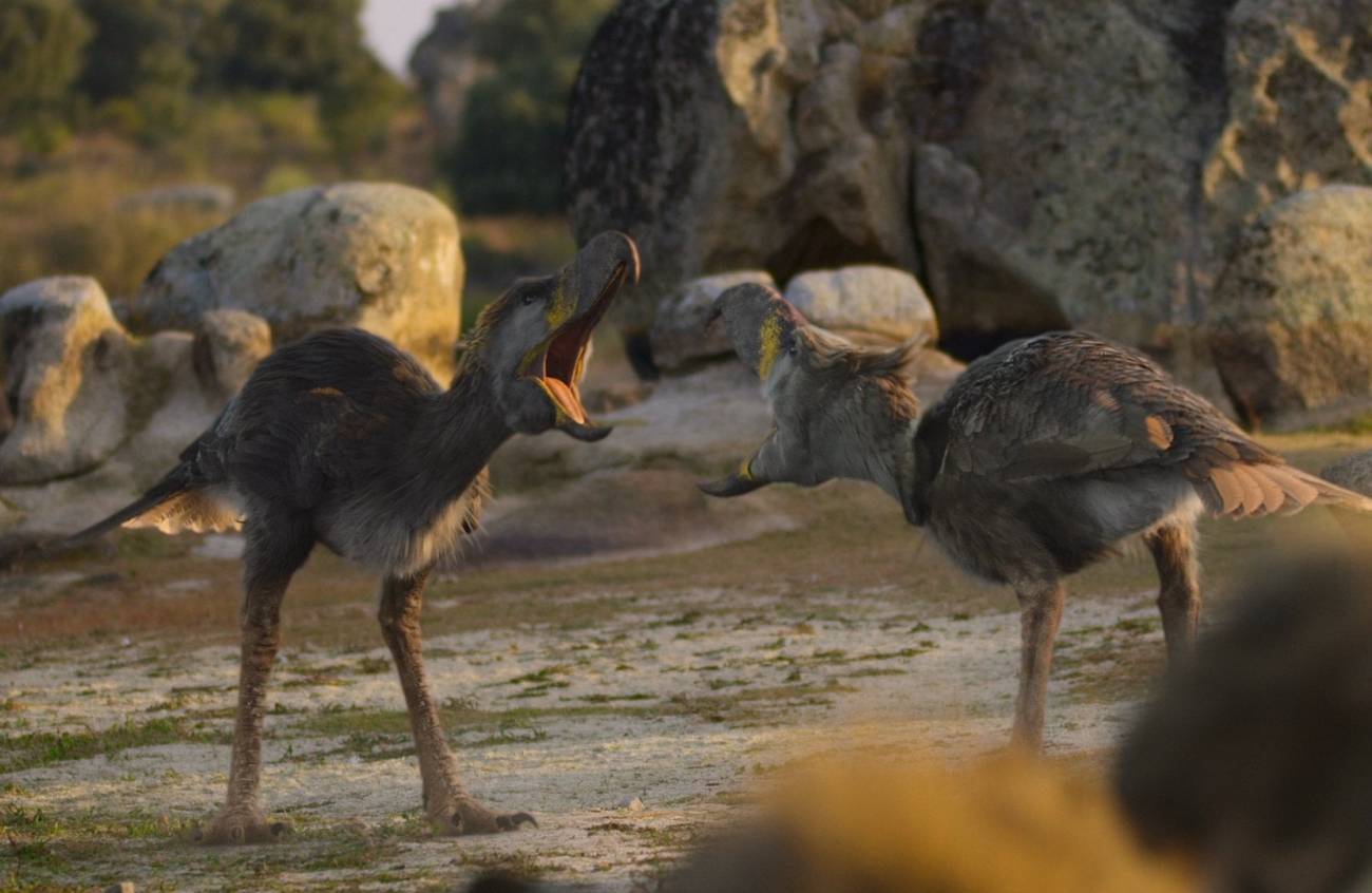 Recreación de dos aves del terror