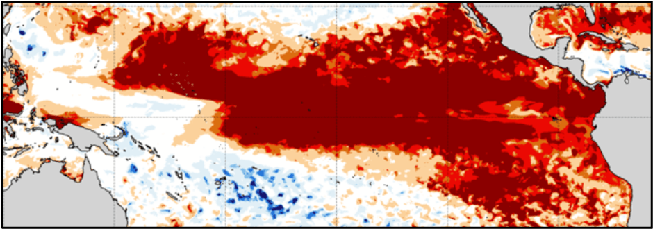 Este mapa del Pacífico tropical muestra la clasificación de los valores extremos de la temperatura superficial del océano en julio de 2026, siendo las zonas en rojo más oscuro las que experimentan las condiciones más cálidas registradas jamás en un mes de julio.  /  Julia Cole, Universidad de Míchigan