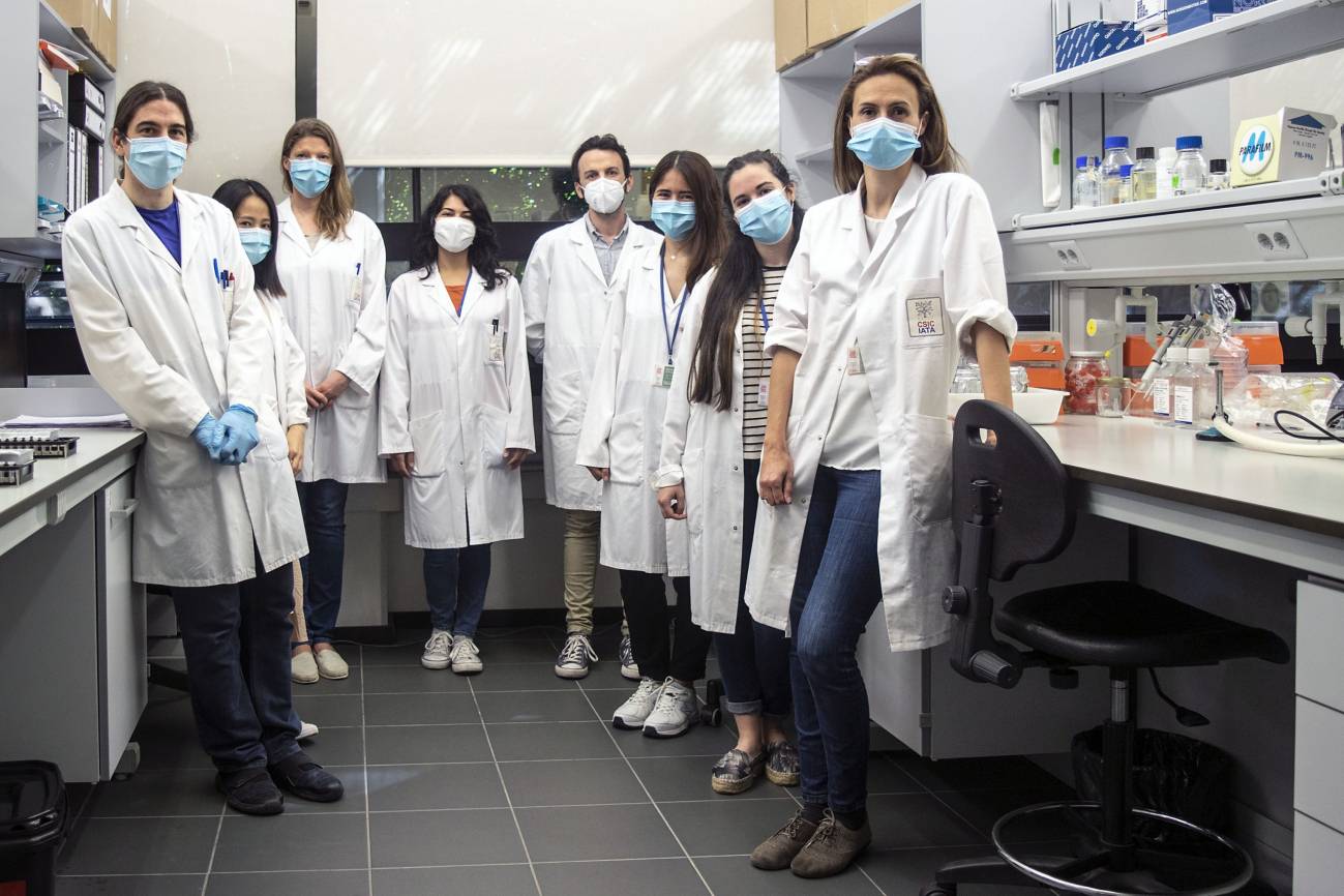 Grupo de investigación del IATA-CSIC