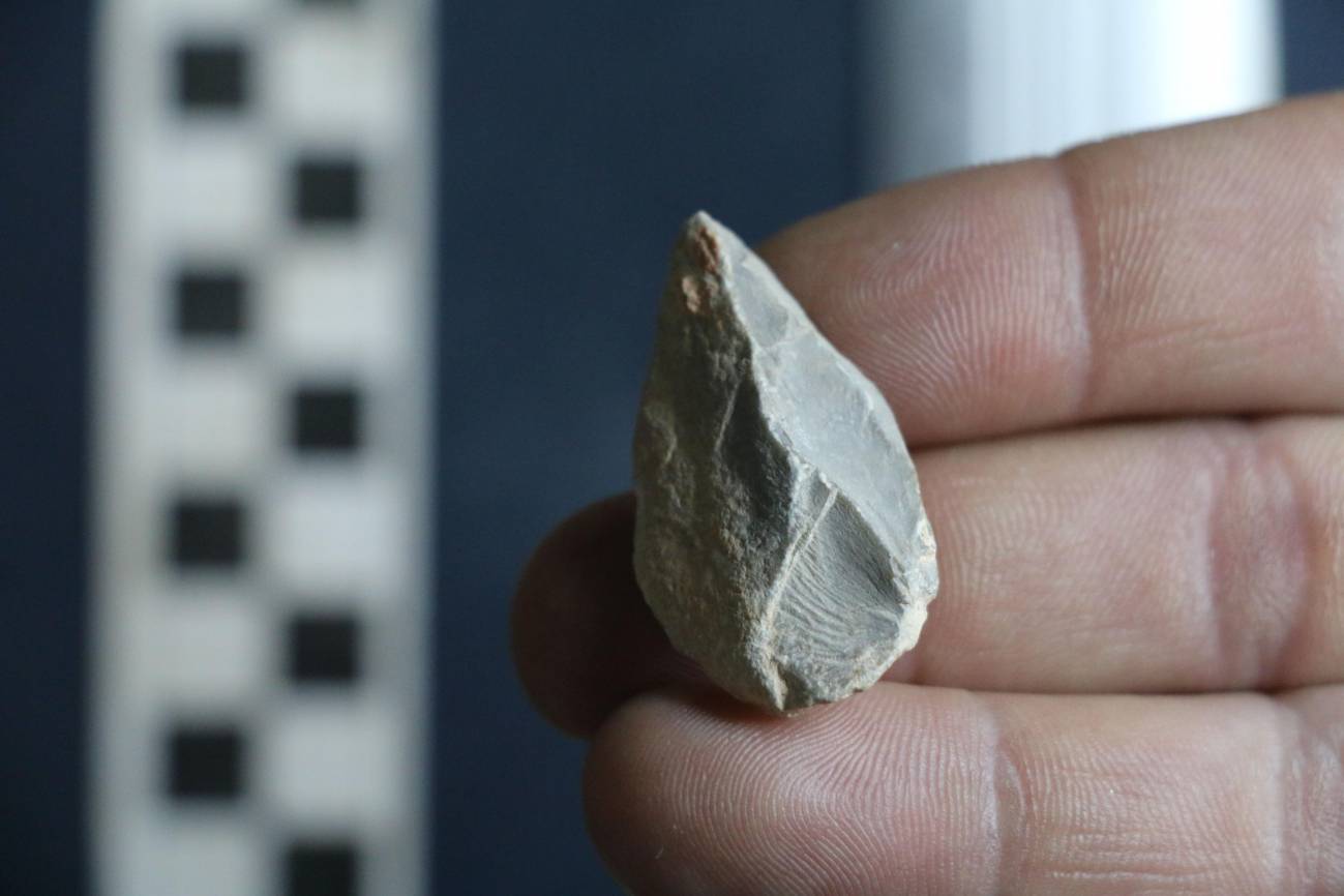 Herramienta de piedra