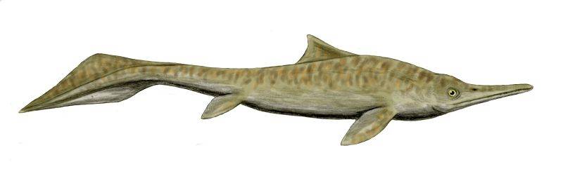 Ictiosaurio