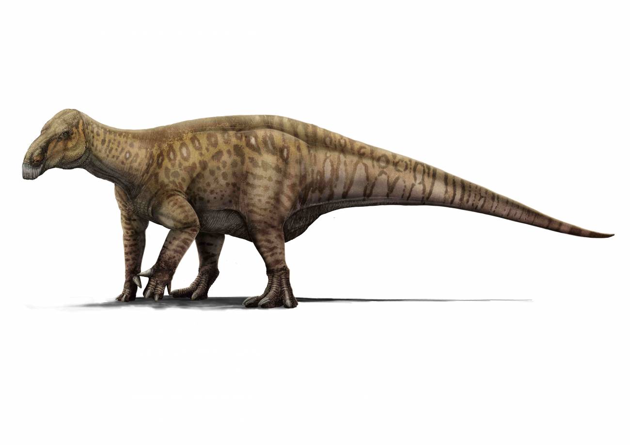 Recreación del Iguanodon / Fundación Conjunto Paleontológico de Teruel-Dinópolis