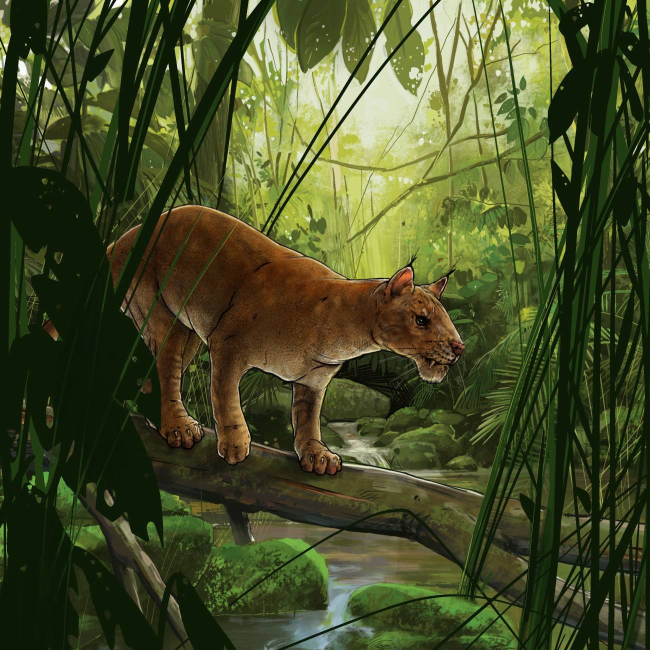 Ilustración