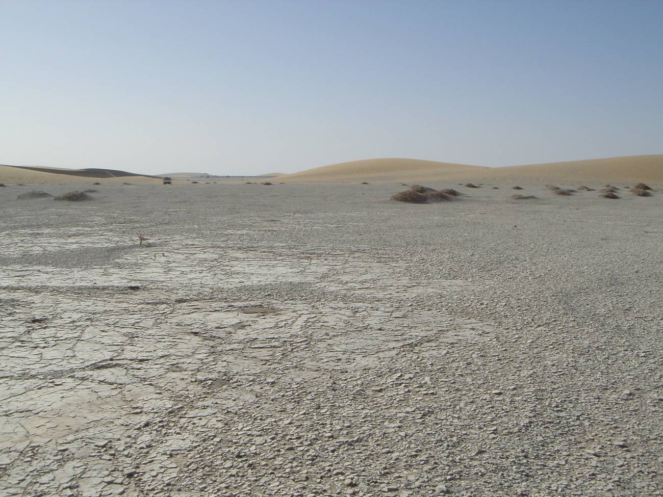 El desierto del Djurab, donde se encuentran los yacimientos de fósiles que dieron lugar a los restos postcraneales de 'Sahelanthropus tchadensis'. / © MPFT / Palevoprim / CNRS - Universidad de Poitiers
