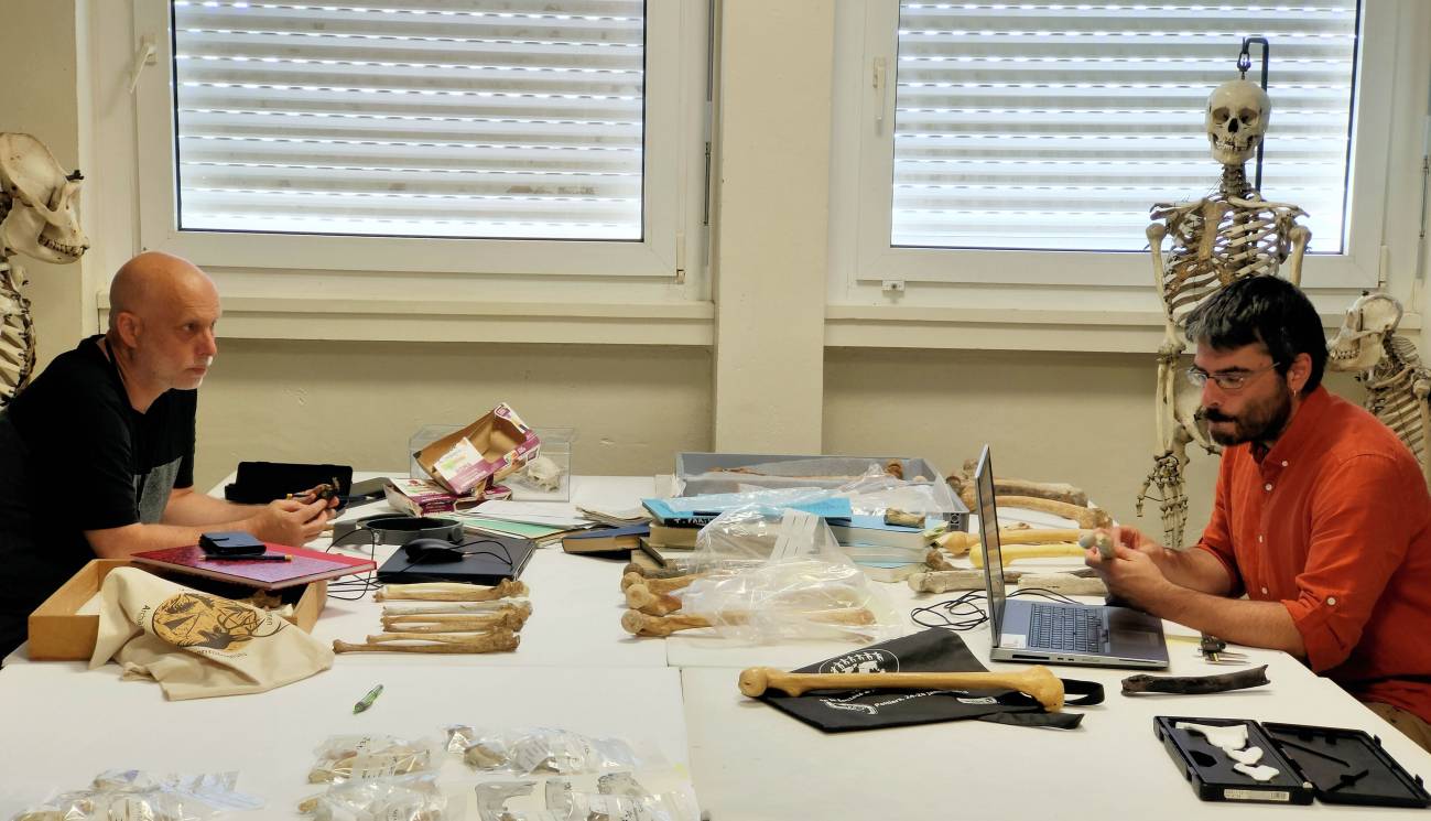 Sesión de trabajo de la colección entre Franck GUY (izquierda) y Guillaume DAVER (derecha), en el laboratorio PALEVOPRIM, Poitiers (CNRS/Universidad de Poitiers)./ © Franck Guy / Palevoprim / CNRS - Universidad de Poitiers