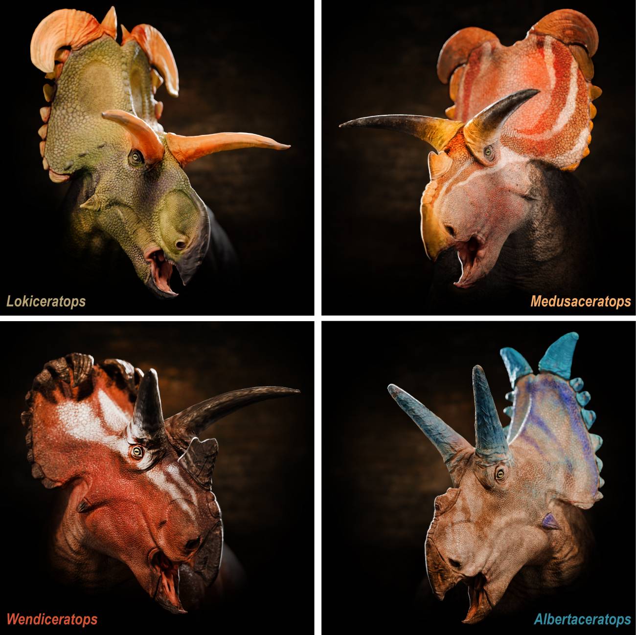 Reconstrucciones de retratos de los cuatro dinosaurios centrosaurinos que vivieron juntos en el Kennedy Coulee Assemblage del norte de Montana y el sur de Alberta. / abrizio Lavezzi © Evolutionsmuseet, Knuthenborg