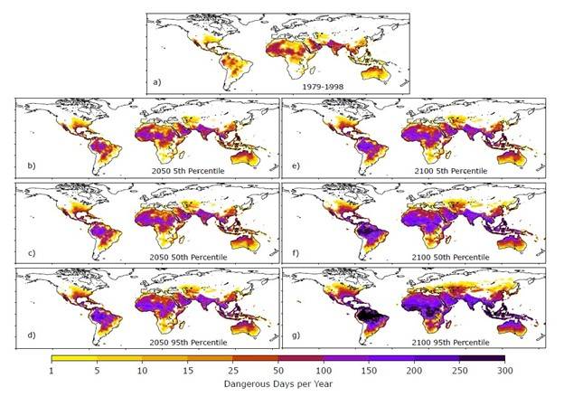 El panel superior muestra el registro histórico de días "peligrosos" al año, con un índice de calor superior a 103 F. La columna de la izquierda muestra el rango de días peligrosamente calurosos en 2050, con 10 veces más días "peligrosos" en el sureste de Estados Unidos y más de 100 días "peligrosos" en partes de Sudamérica, África, India y Australia. La columna de la derecha muestra la gama más amplia de posibilidades para 2100. La parte inferior derecha muestra el peor escenario, con condiciones peligrosas durante gran parte del año en Sudamérica, África central y el sur de Asia. (Los valores más bajos en el África subsahariana y la India se deben a que experimentan condiciones "extremadamente peligrosas").   / UW