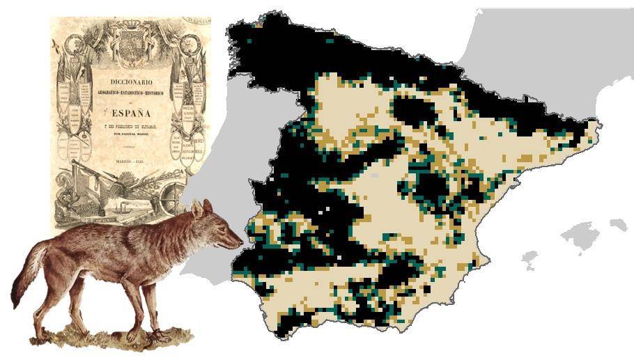 Distribución del lobo