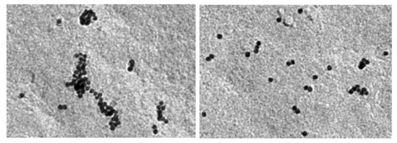 Imágenes de microscopía electrónica