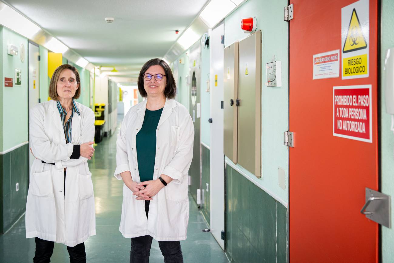 En las últimas semanas se han anunciado resultados preliminares de las candidatas a vacunas de Pfizer, Moderna, Sputnik V y AstraZeneca. / EFE