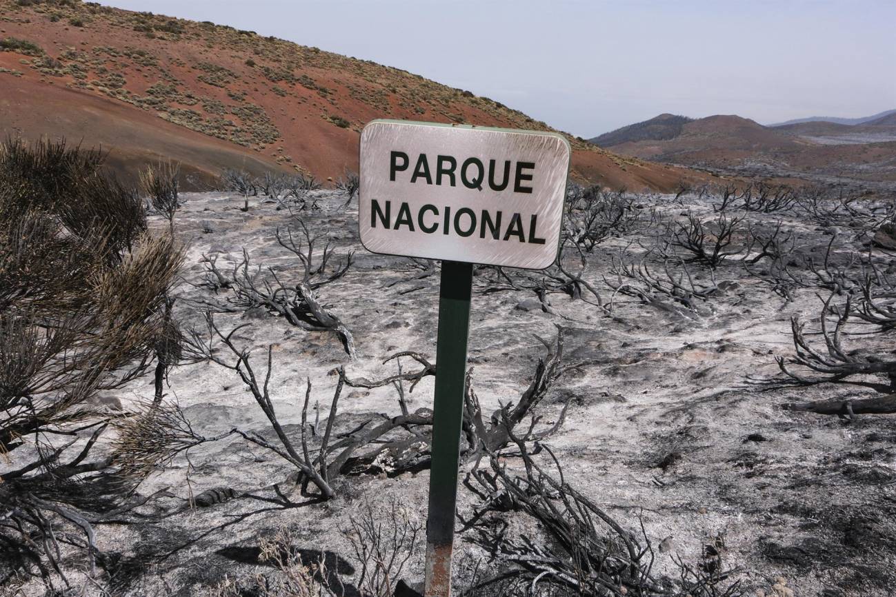 El Parque Nacional del Teide tras el paso del incendio forestal que afecta a la isla de Tenerife en 2023. / EFE/Alberto Valdés
