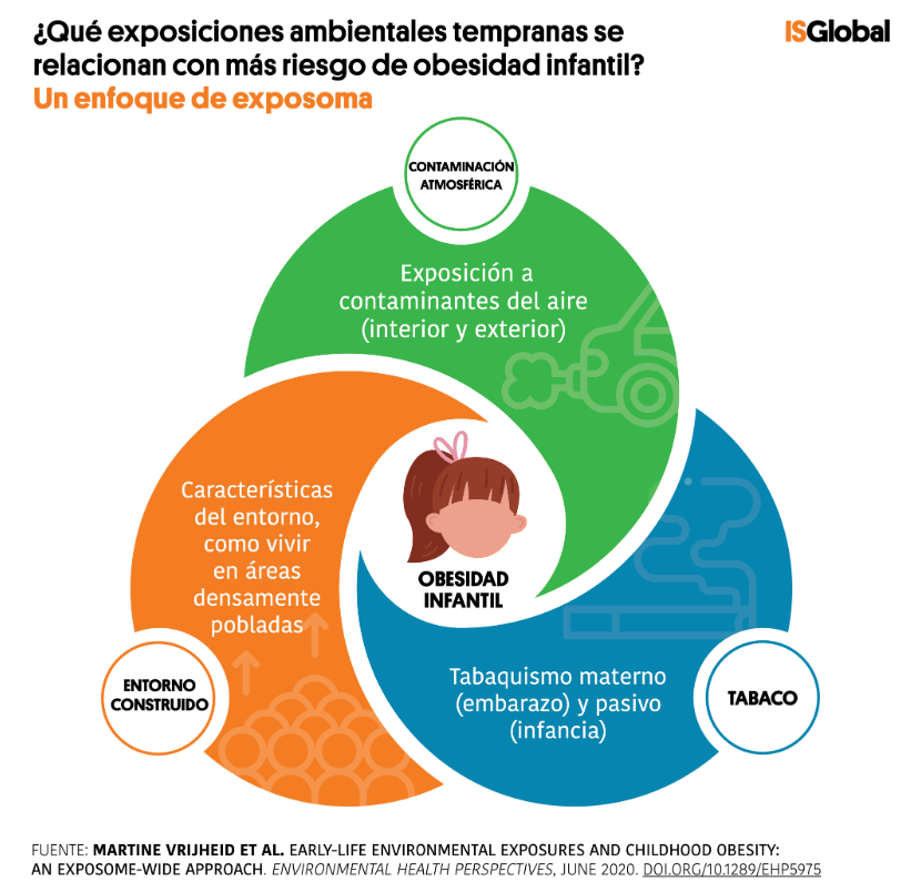 infografía exposiciones