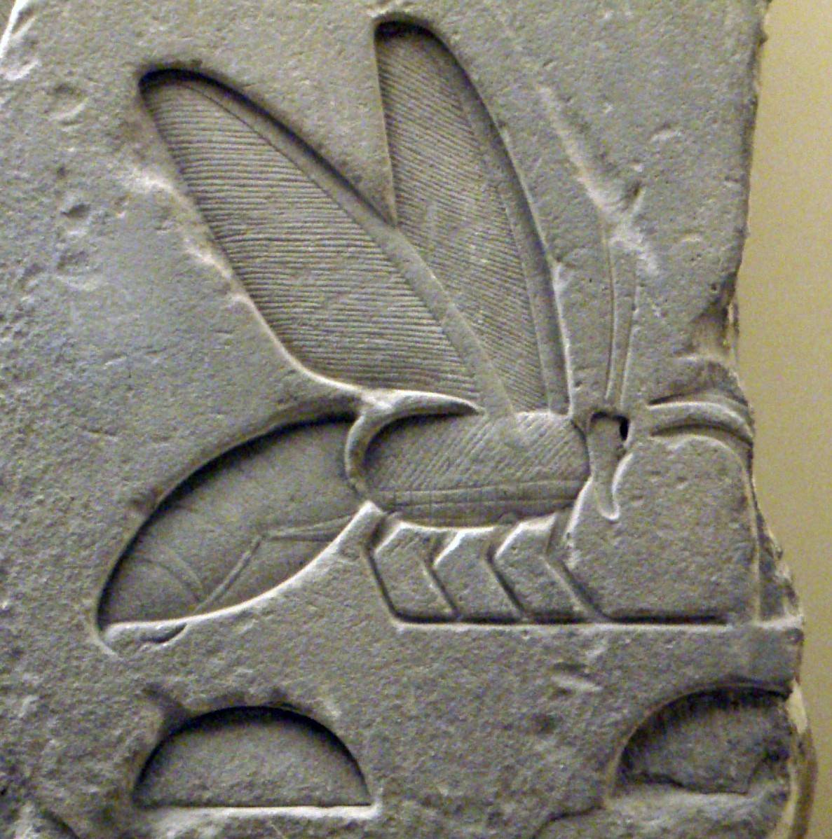 jeroglífico abeja