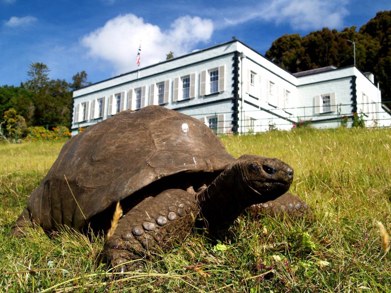 Jonathan enfrente de la Plantation House. / Joe Hollins