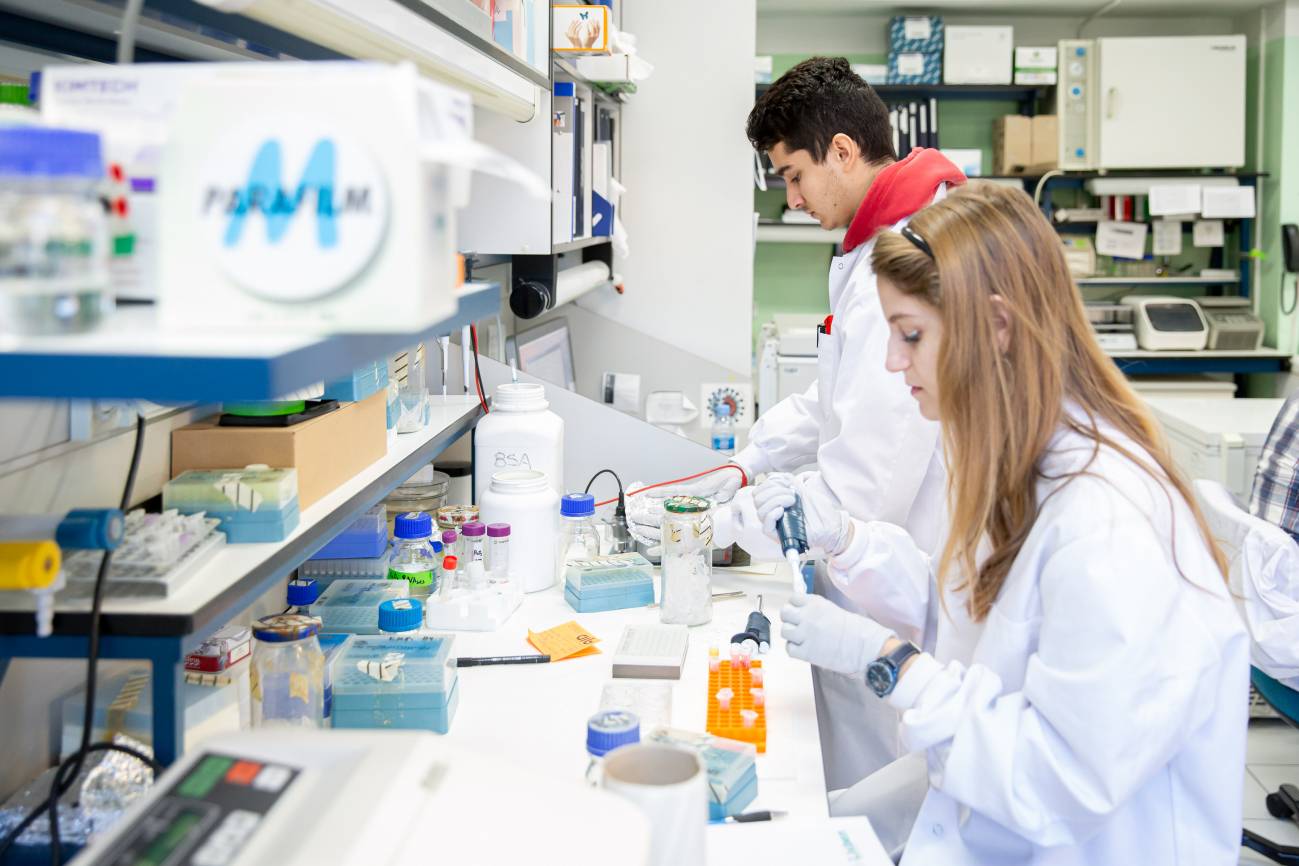 laboratorio CNB