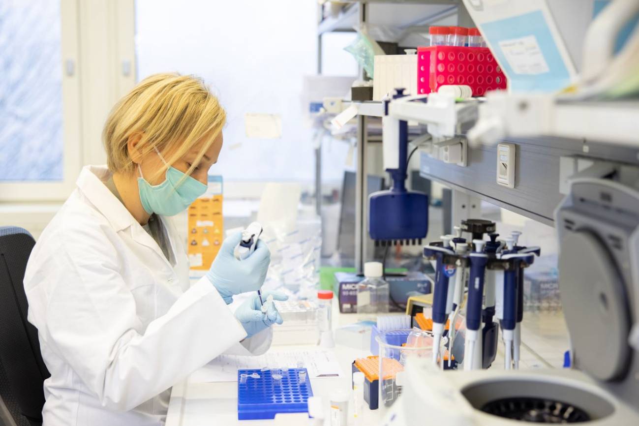 Laboratorio