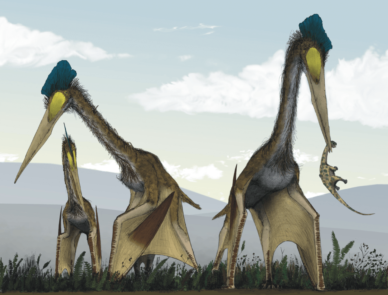 Reconstrucción artística de la vida de los azdárquidos gigantes. Grupo de Quetzalcoatlus northropi, alimentándose en una pradera de helechos cretáceos. Puede observarse a un Titanosaurio juvenil que ha sido capturado por uno de los Pterosaurios, mientras que los otros acechan a través de los matorrales en busca de pequeños vertebrados. /© Mark Witton
