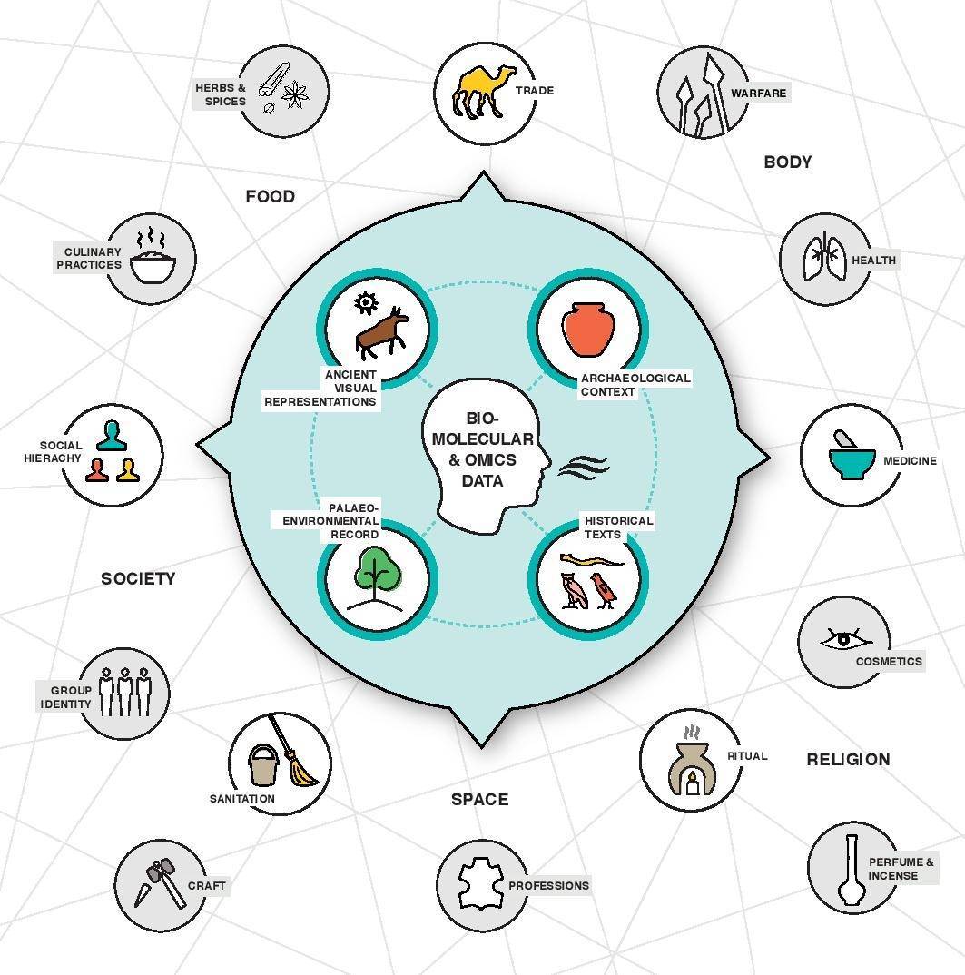 Los datos olfativos pueden contextualizarse en el marco de textos históricos y representaciones visuales relevantes, así como en los registros arqueológicos y medioambientales. La conexión de estas diferentes fuentes de información permite reconstruir aspectos críticos de los modos de vida y la sociedad de la antigüedad (indicados por las flechas que salen del círculo azul). Los iconos de la zona exterior de la figura representan ejemplos de algunos de los temas que pueden abordarse mediante este enfoque (los recuadros grises indican títulos generales). / Michelle O'Reilly