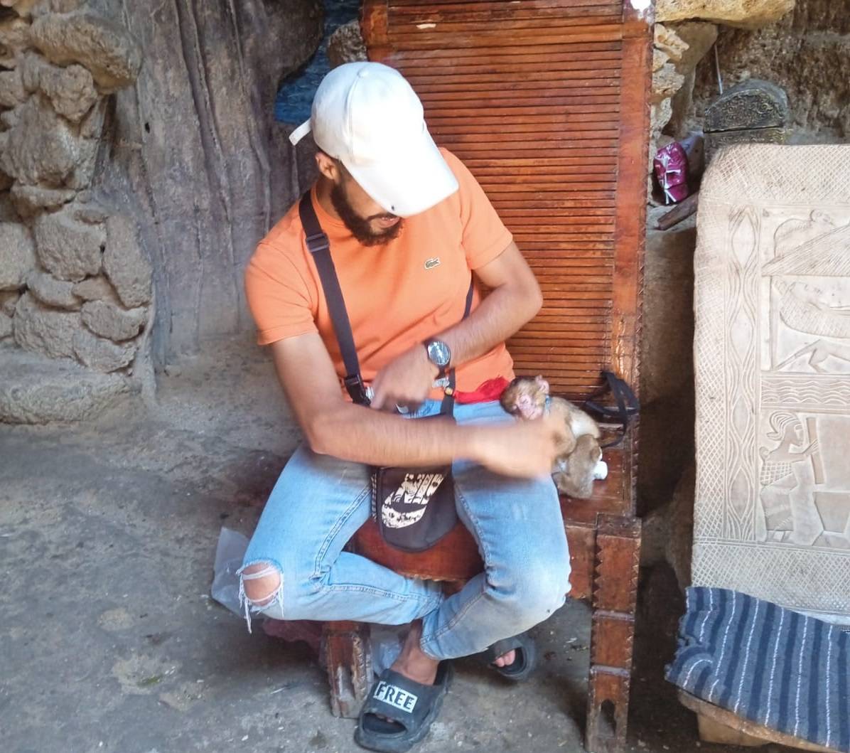 Macaco de Berbería usado como reclamo turístico. / Laura G. De Rivera