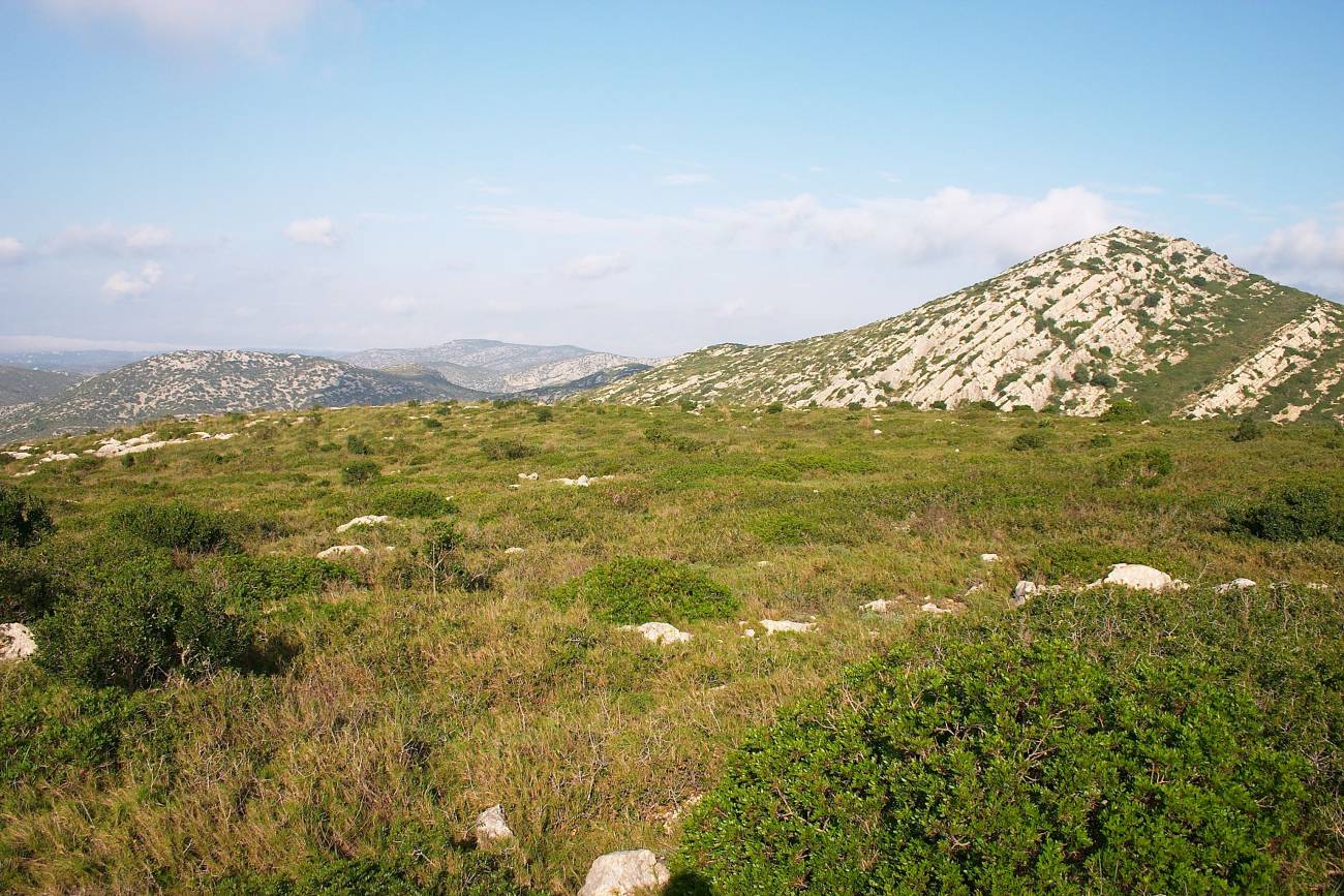 Matorrales