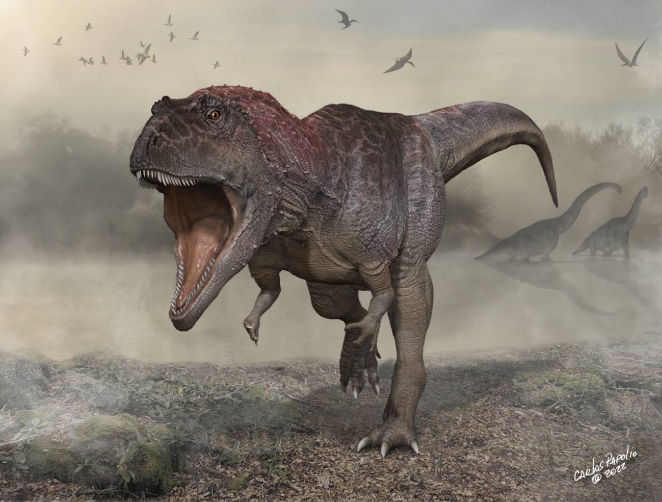 Meraxes giga reconstrucción
