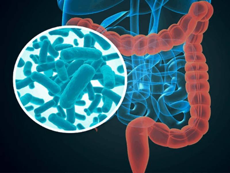 microbiota bebé
