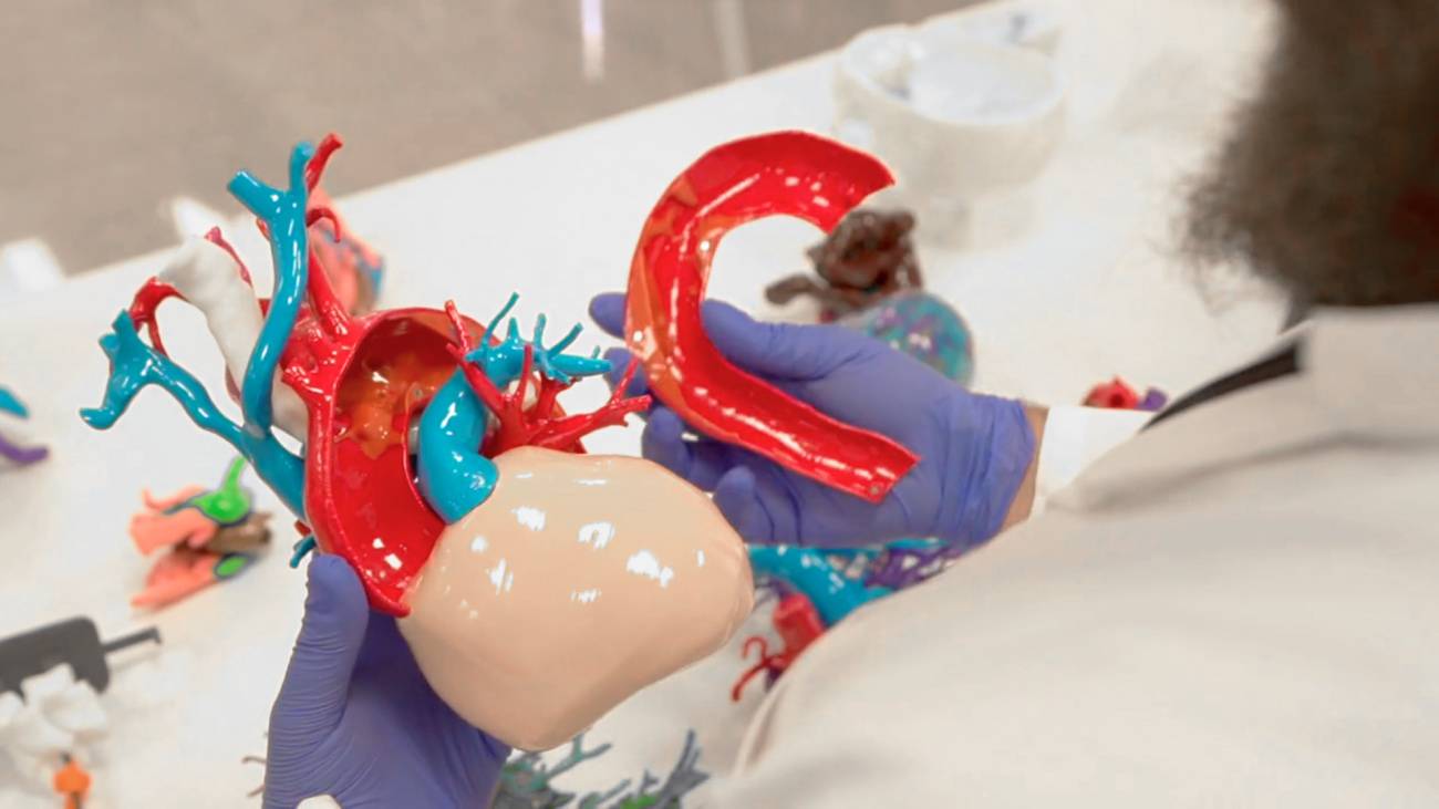 Modelo 3D de un corazón