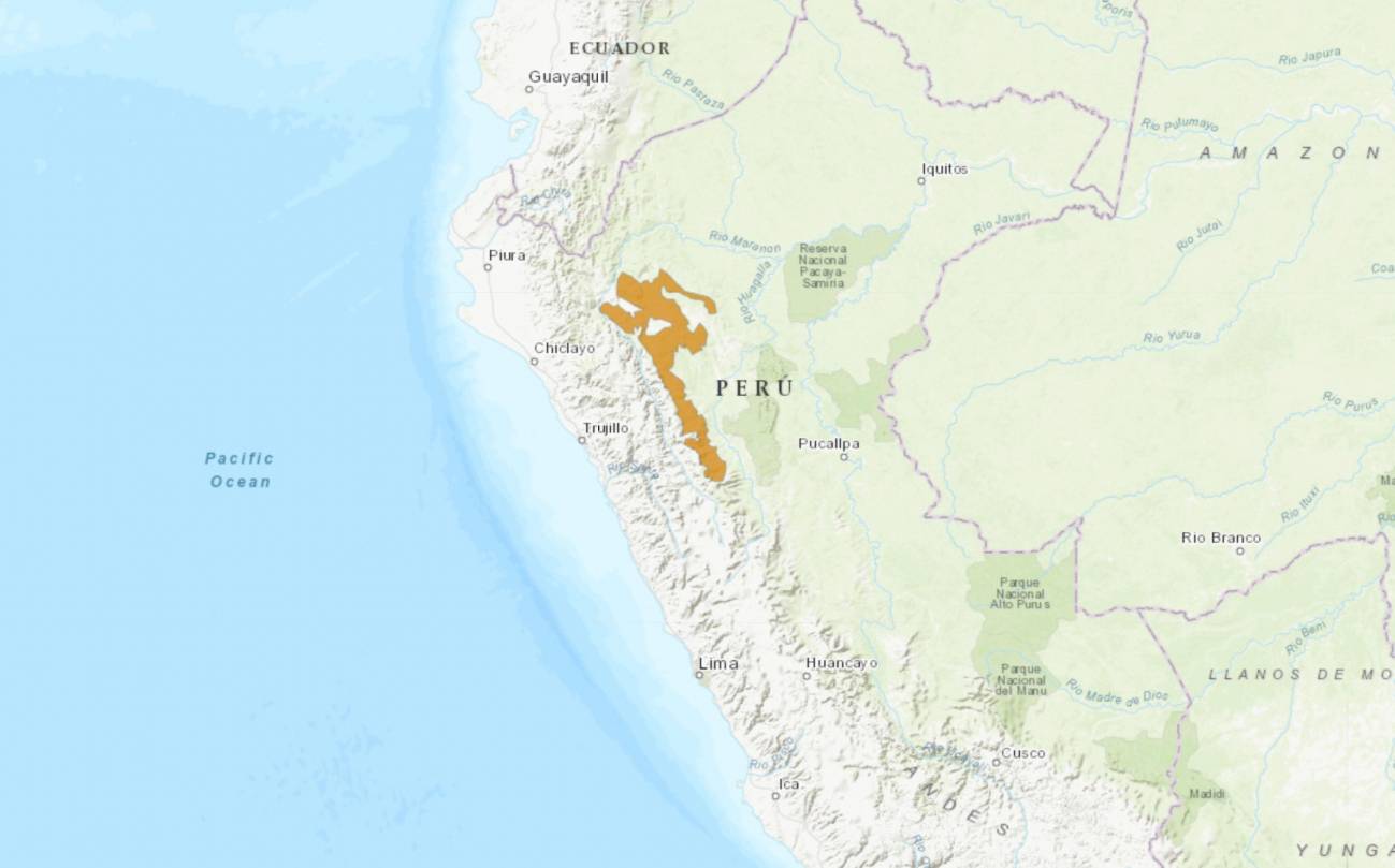 El mono choro de cola amarilla habita únicamente en el nordeste de Perú.
