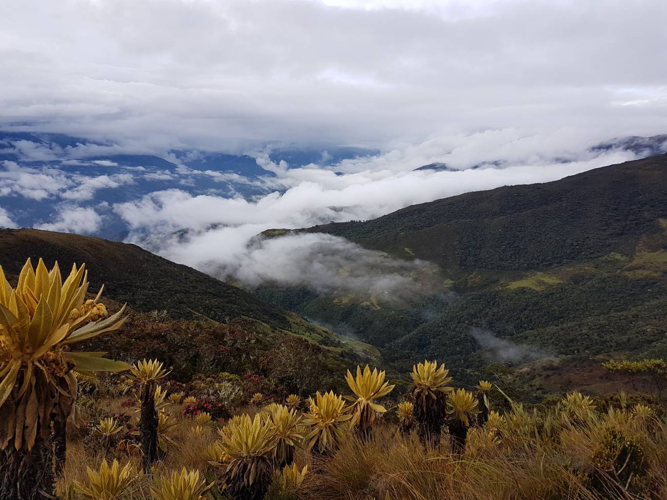 Montañas