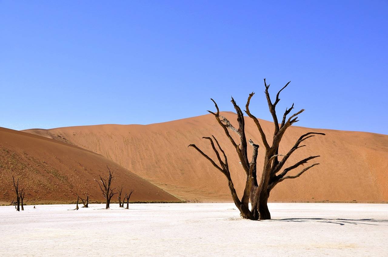 Desierto en Namibia. / Pixabay (katja)