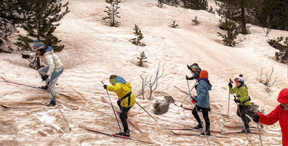 Nieve marrón