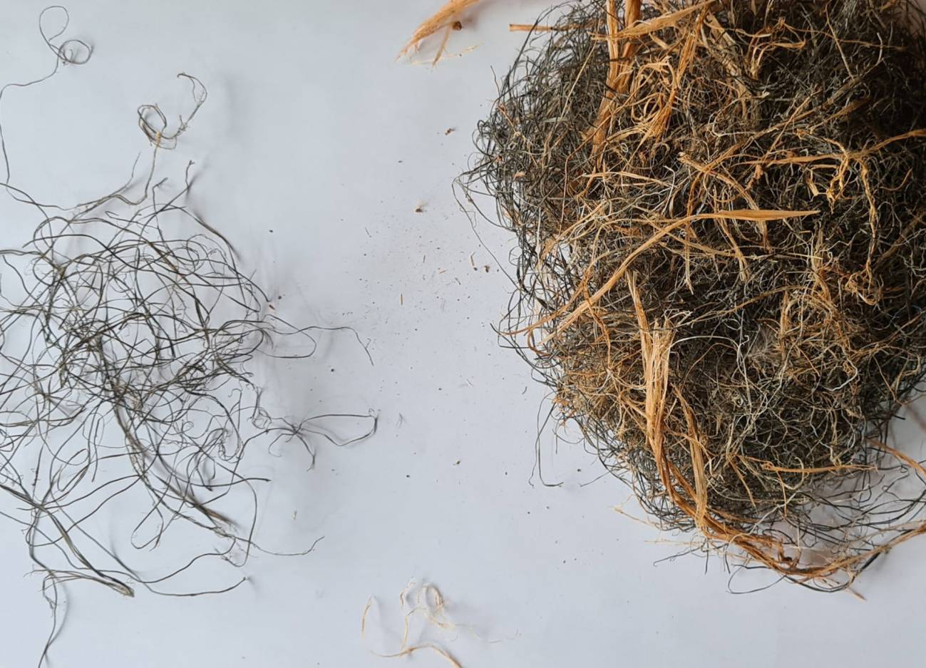 Fragmentos de plásticos procedentes de nidos de urraca y a la derecha estos mezclados con elementos naturales. / UV