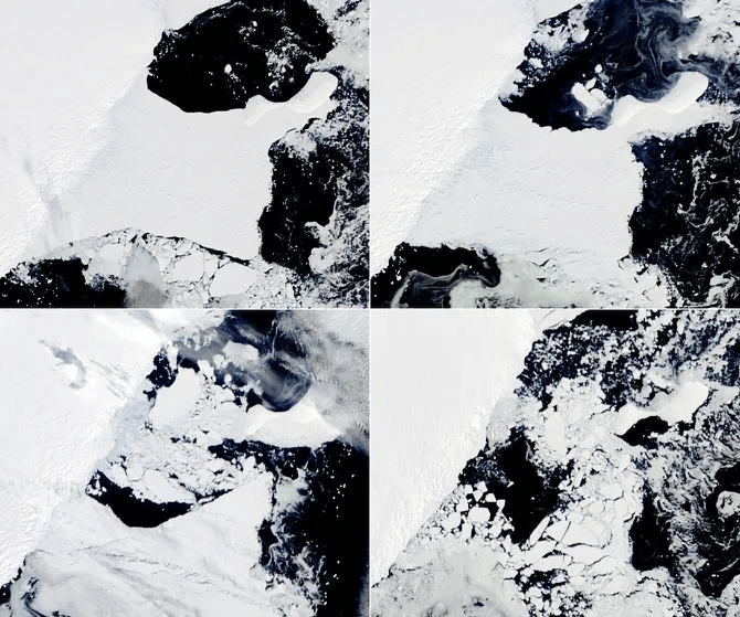 Evolución de la plataforma Conger entre el 22 de febrero y el 21 de marzo / NASA Earth Observatory