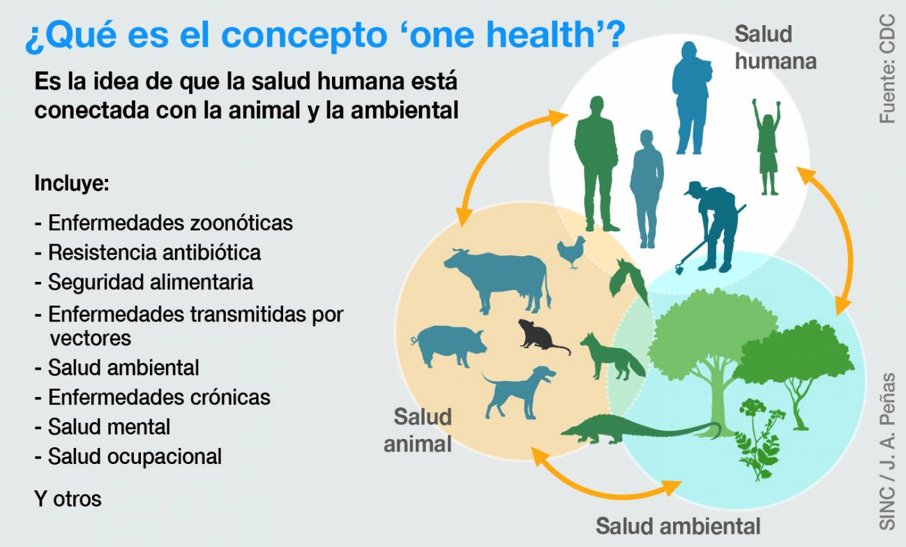 One Health