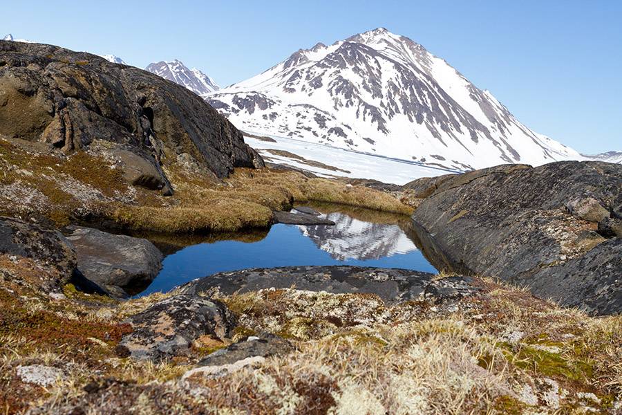 Paisaje rocoso con plantas de tundra cerca de la costa oriental de Groenlandia, similar a cómo pudo haber sido el interior de la isla cuando su enorme capa de hielo se derritió. / Joshua Brown