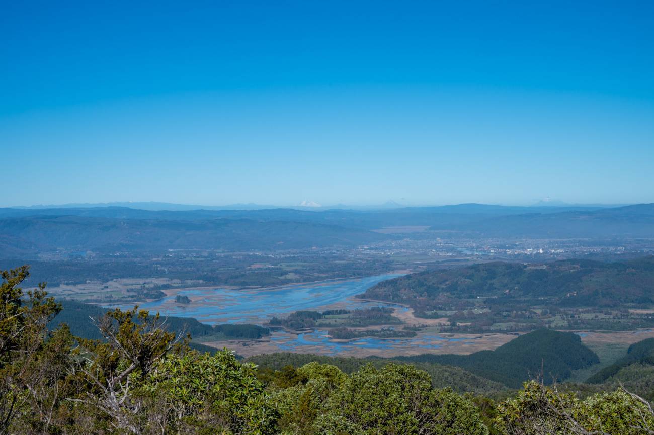 Panorámica actual de Valdivia y sus áreas cercanas. El terremoto generó riberas bajas y nuevas zonas de humedales / Alejandro Muñoz