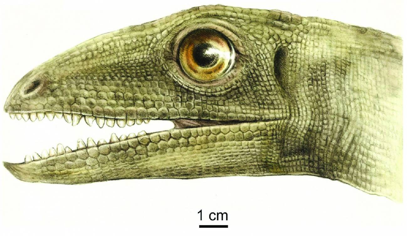 Pariente de dinosaurio
