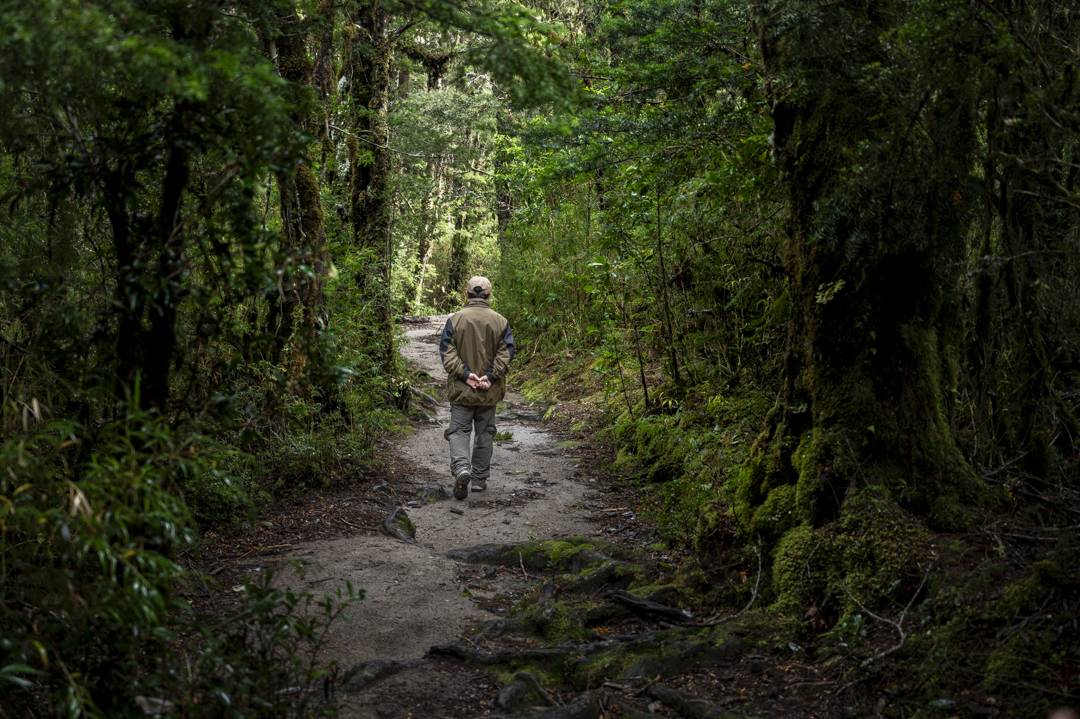 El guardaparques Marcelo Delgado vigila el Parque Nacional Alerce Costero. / Alejandro Muñoz