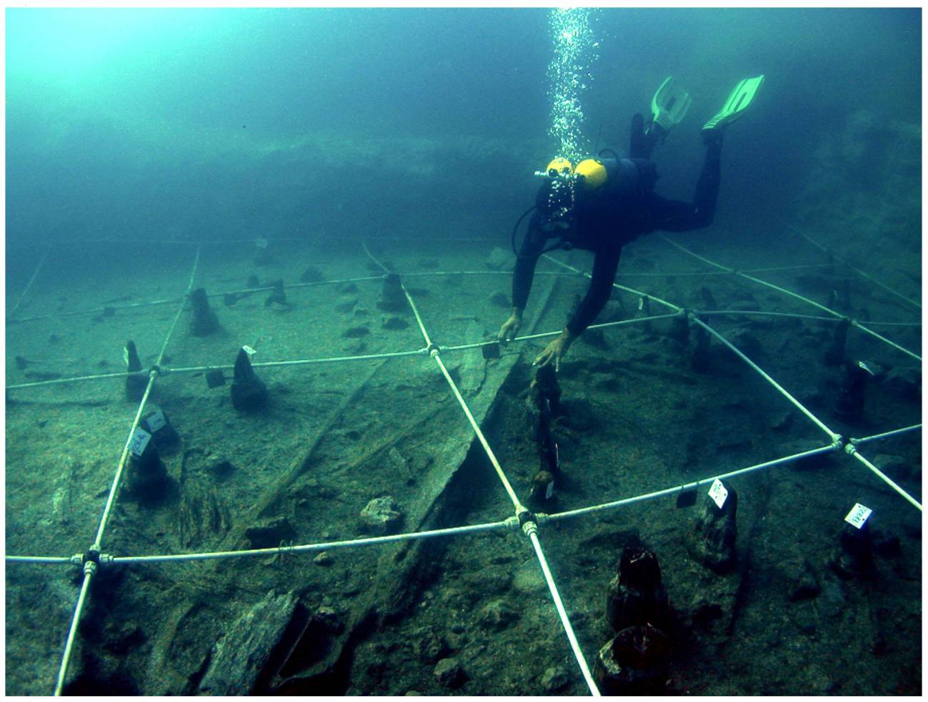 Excavación Canoa 5 / Museo delle Civiltà