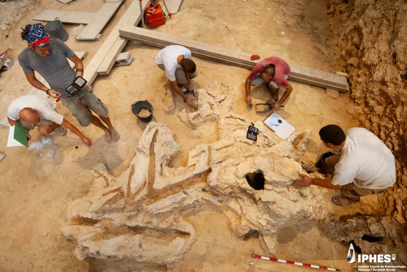 Trabajo de dibujo y registro durante la excavación del objeto de madera en el Abric Romaní. Autoría: Gerard Campeny / IPHES-CERCA.