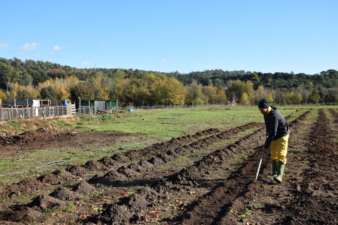 Huerta regenerativa. / CREAF